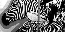 Zebras, Union Market, DC