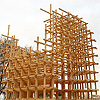 Arbori