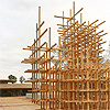 Arbori